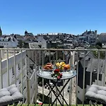 Vue Sur Les Toits Historiques De Vannes