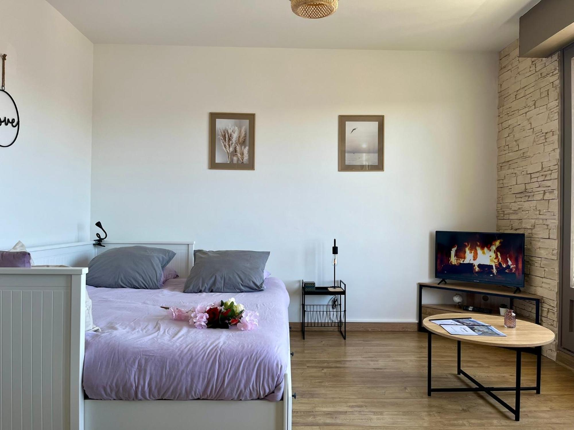 Vue Sur Les Toits Historiques De Appartement *